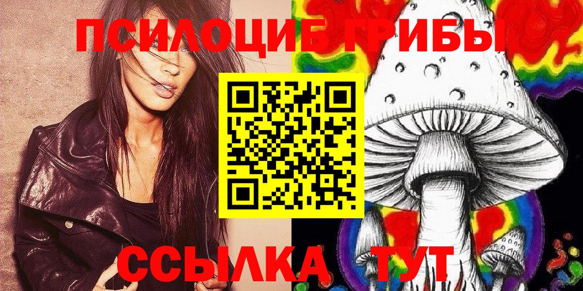 Юрга  Псилоцибиновые грибы прущие грибы  Вход с VPN 